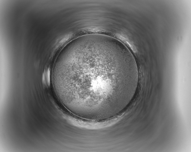 X0000085730014200703161015