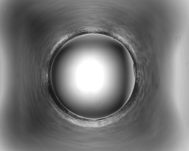 X0000085730015200703161015