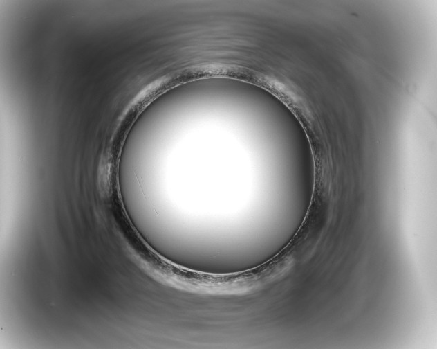 X0000085730016200703161015