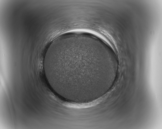 X0000085730017200703161015