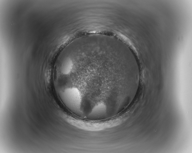 X0000085730018200703161015