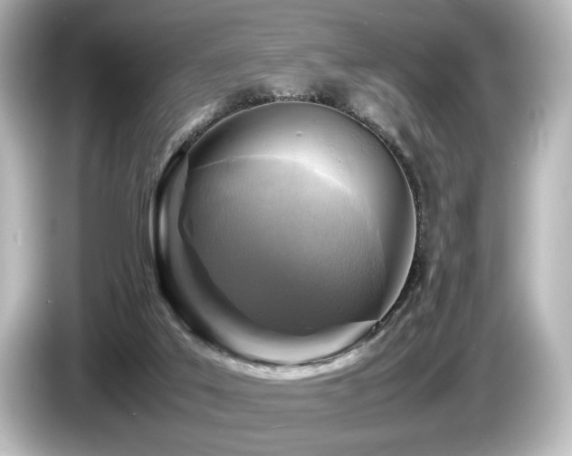 X0000085730019200703161015