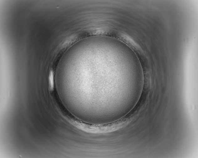 X0000085730022200703161015