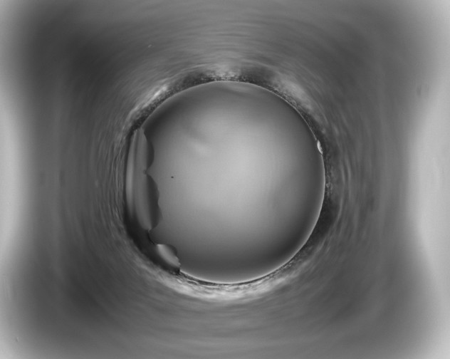 X0000085730023200703161015