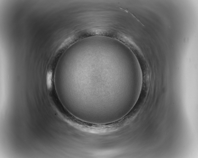 X0000085730024200703161015