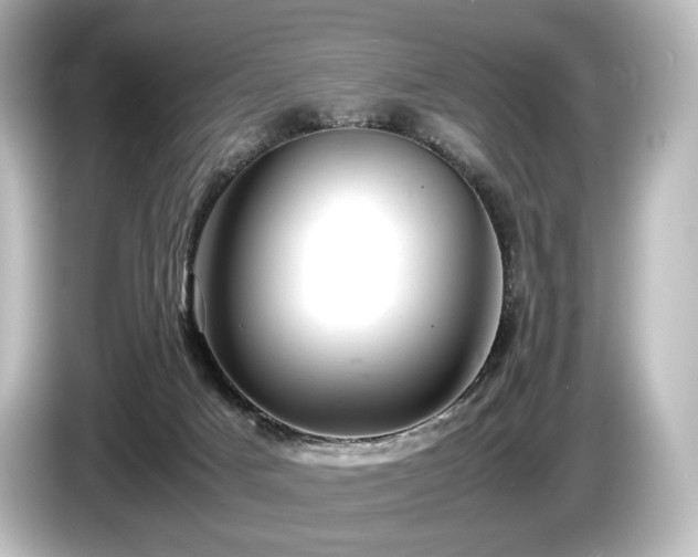 X0000085730025200703161015