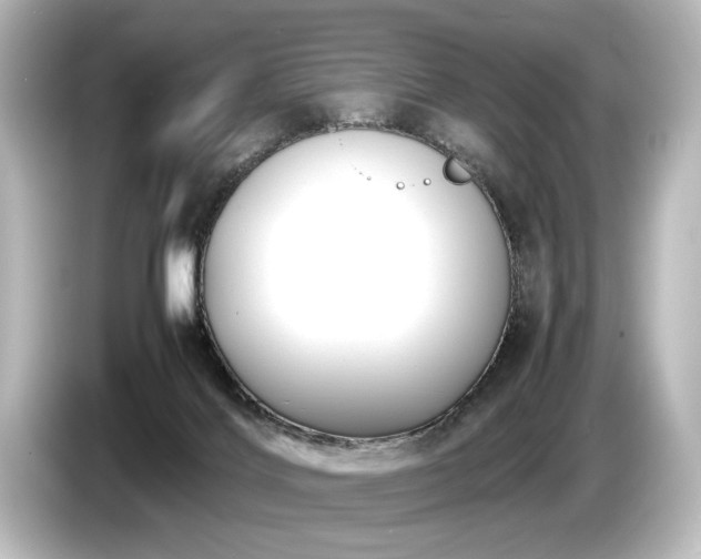 X0000085730028200703161015