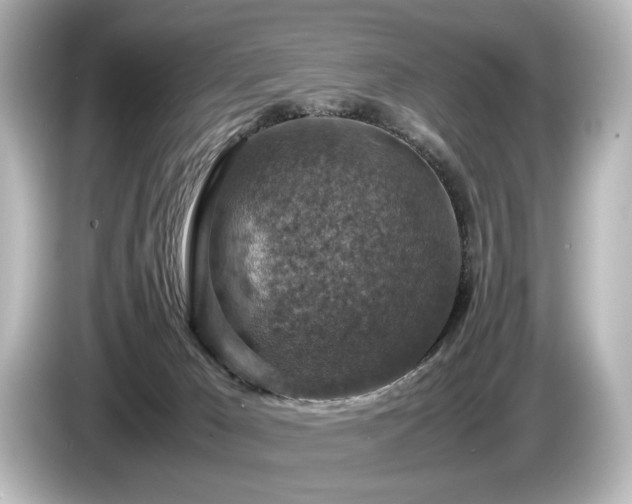 X0000085730029200703161015