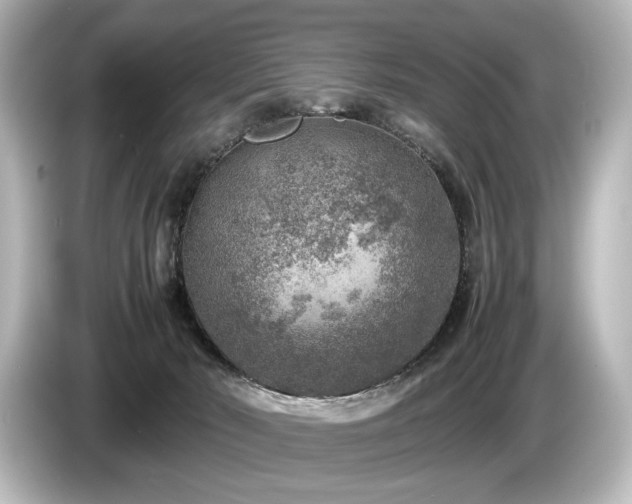 X0000085730030200703161015