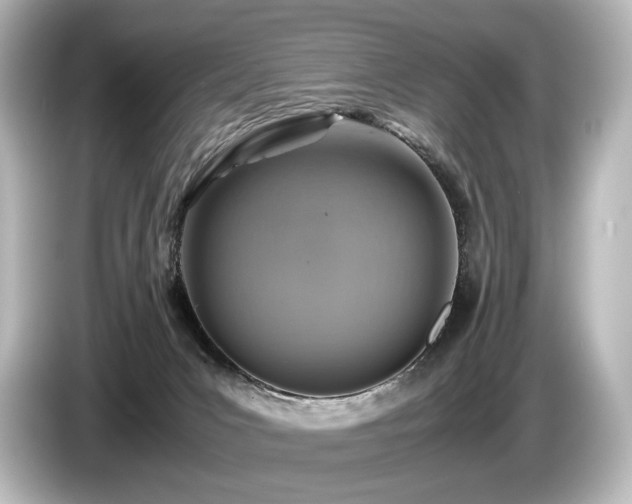 X0000085730031200703161015