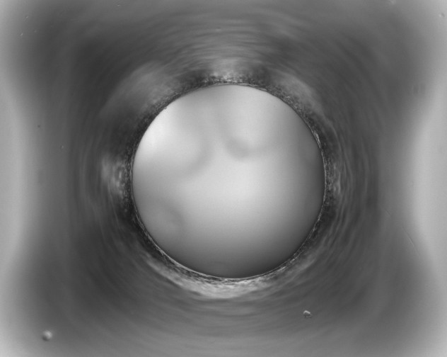 X0000085730036200703161015