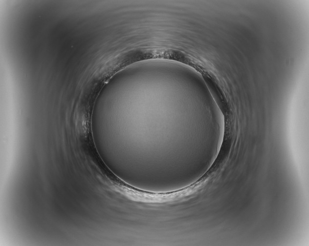 X0000085730039200703161015