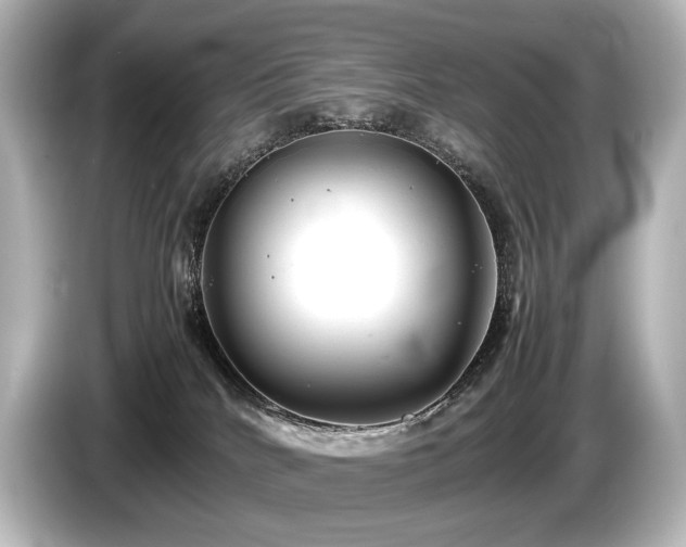 X0000085730040200703161015