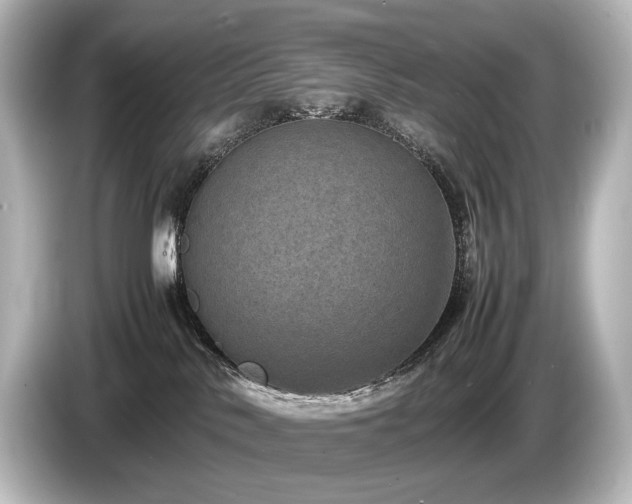 X0000085730042200703161015