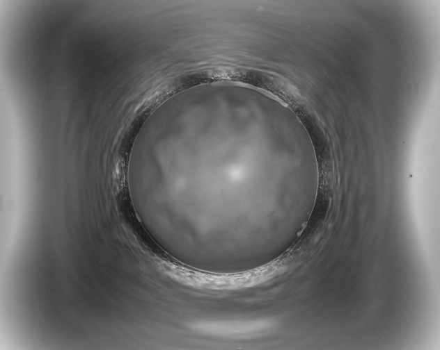 X0000085730043200703161015