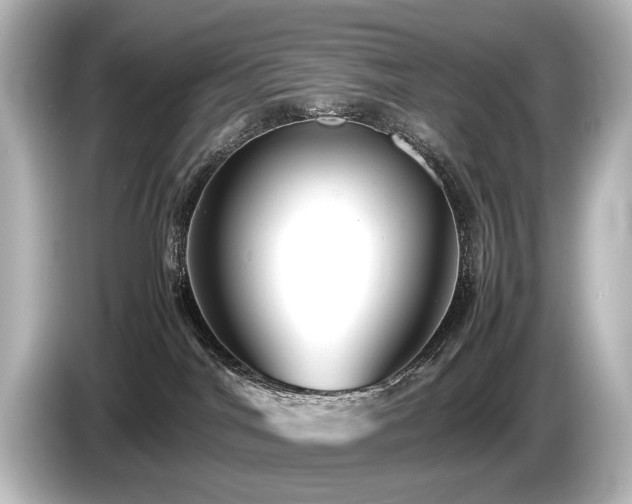 X0000085730044200703161015