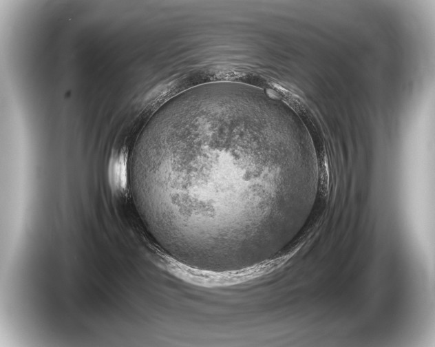 X0000085730046200703161015