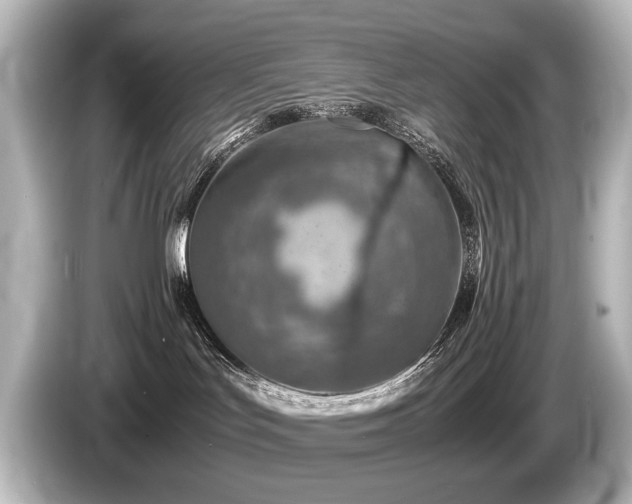 X0000085730047200703161015