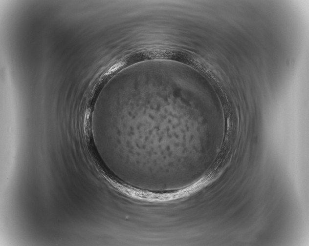 X0000085730048200703161015