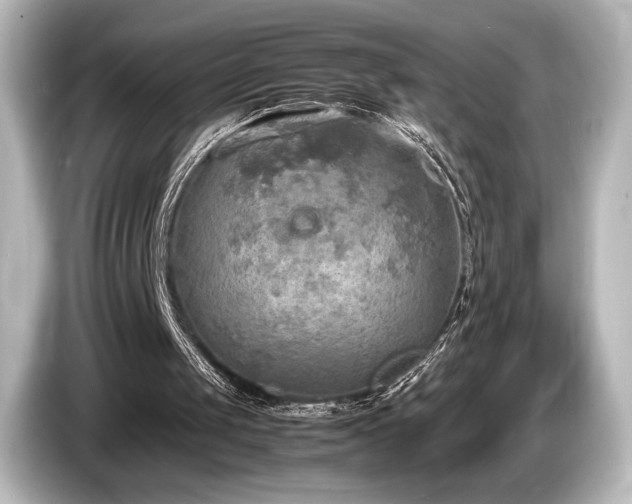 X0000085730049200703161014