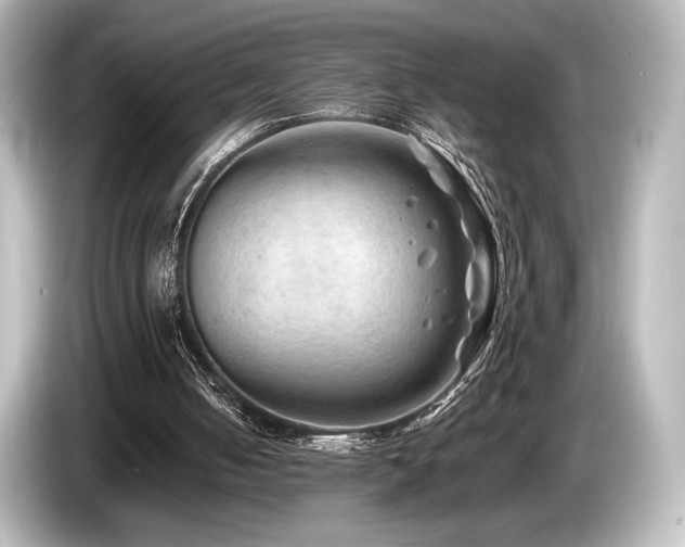 X0000085730050200703161014