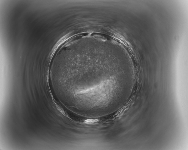 X0000085730051200703161014