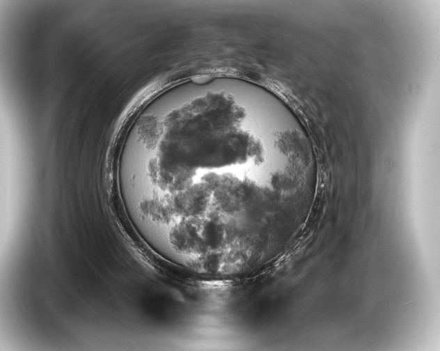 X0000085730053200703161014