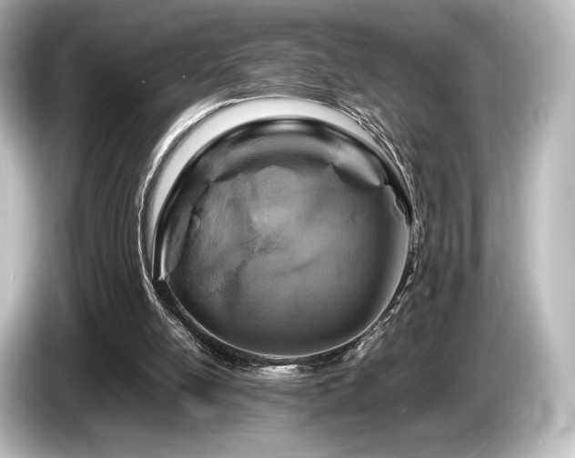 X0000085730054200703161014