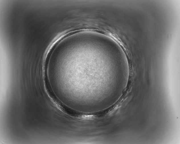 X0000085730055200703161014