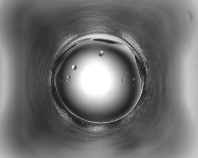 X0000085730058200703161014