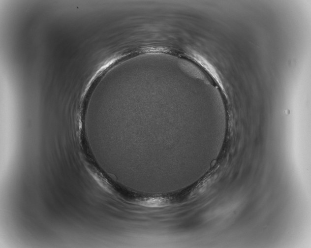 X0000085730059200703161014