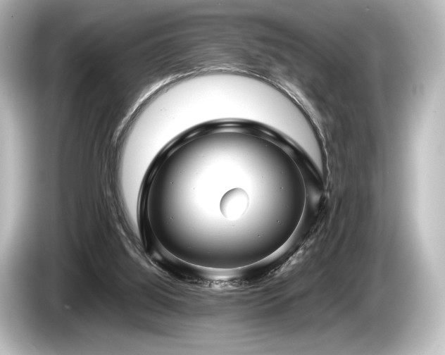 X0000085730060200703161014