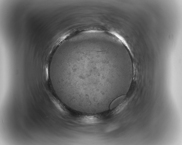 X0000085730061200703161014