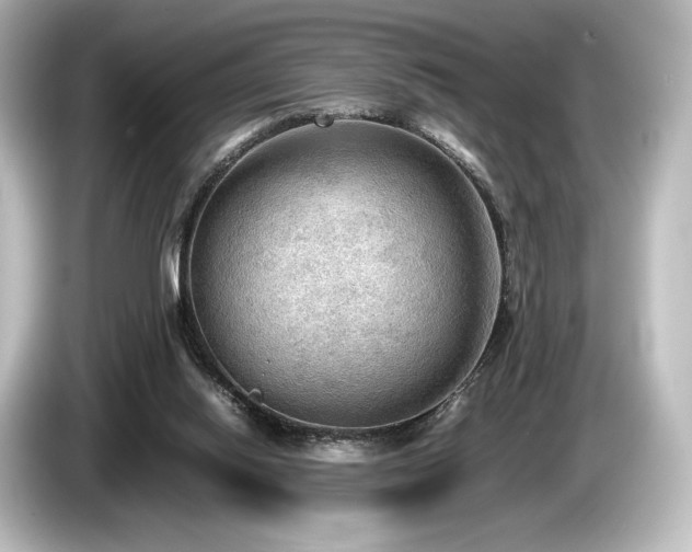 X0000085730062200703161014