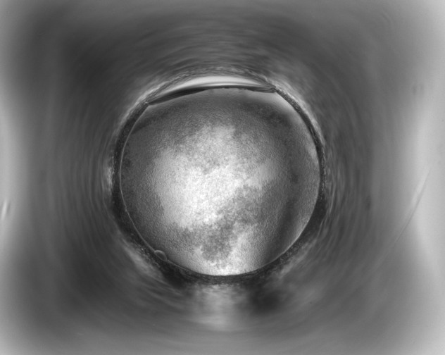 X0000085730063200703161015