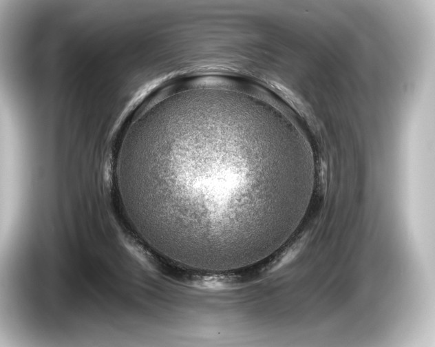 X0000085730064200703161015