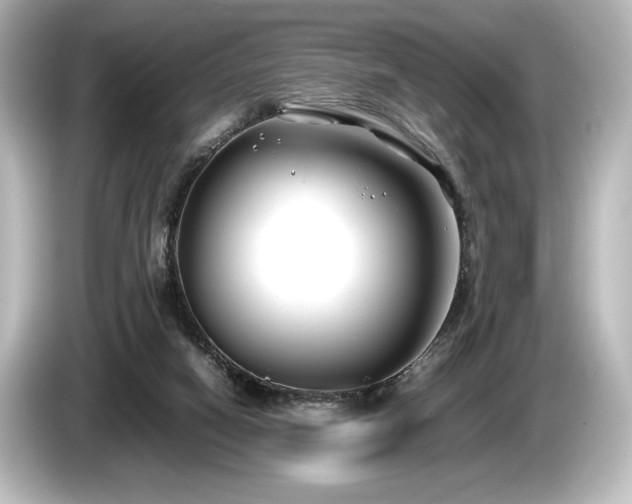 X0000085730066200703161015