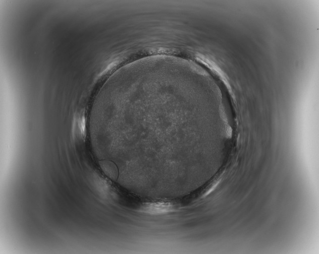 X0000085730067200703161015