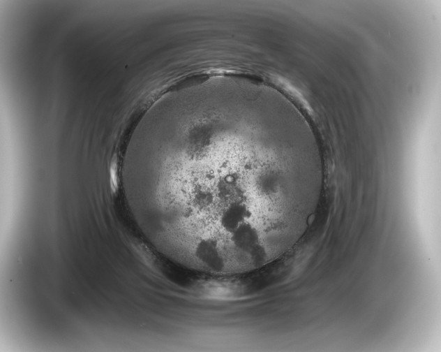 X0000085730069200703161015