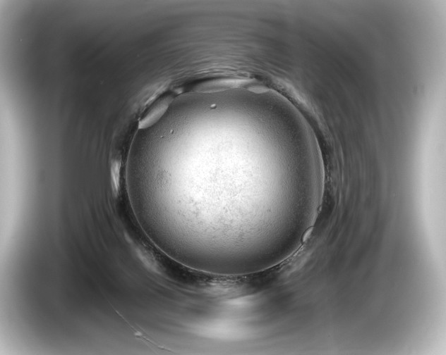 X0000085730070200703161015