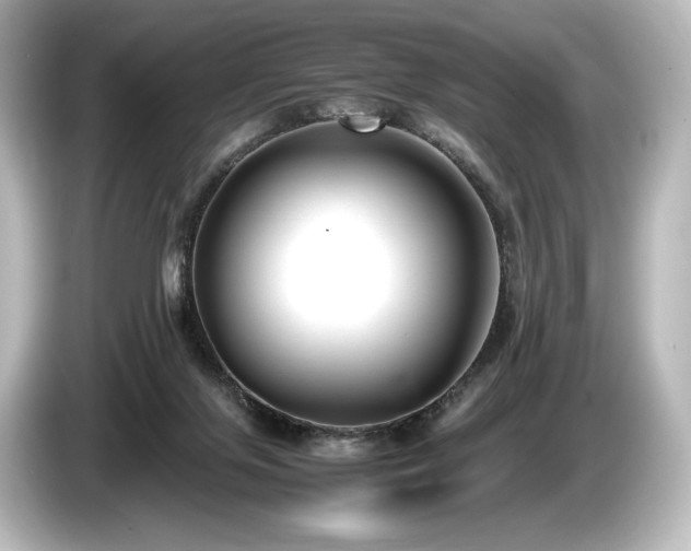 X0000085730071200703161015