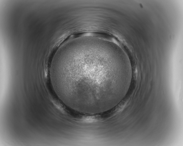 X0000085730072200703161015