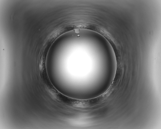 X0000085730074200703161015