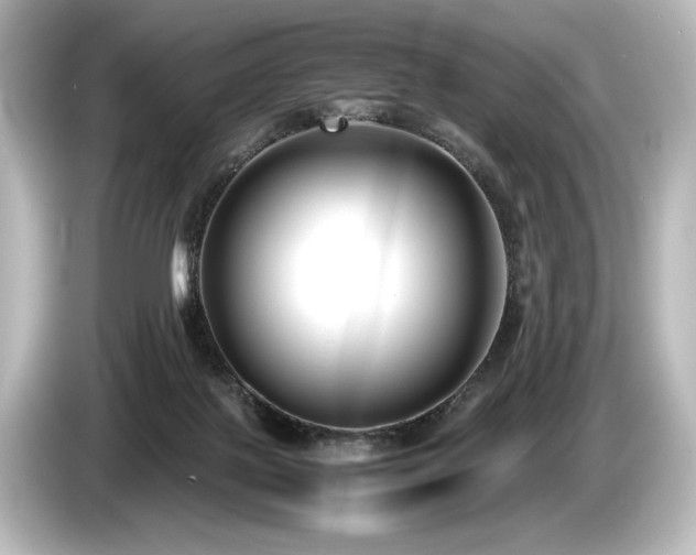 X0000085730075200703161015