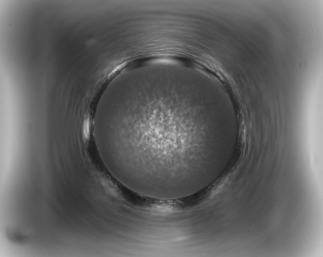 X0000085730076200703161015