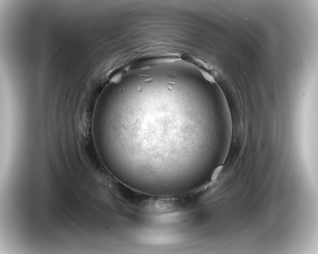 X0000085730078200703161015