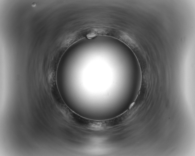 X0000085730079200703161015