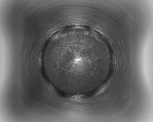 X0000085730080200703161015