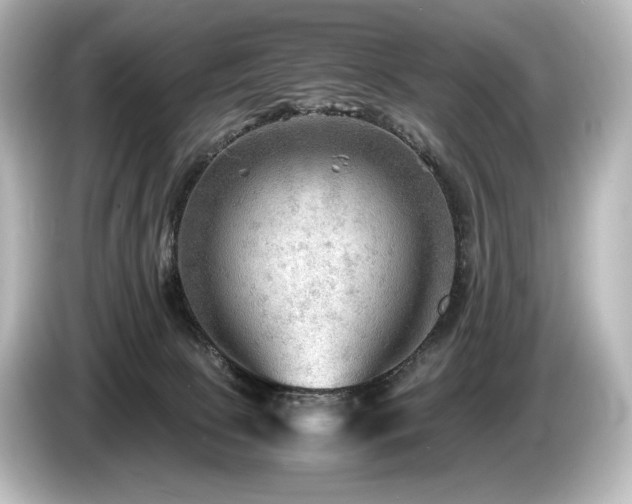 X0000085730081200703161015