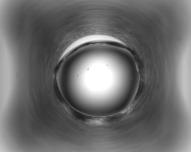 X0000085730086200703161015